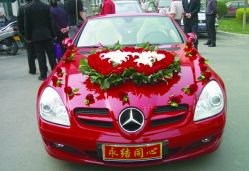 点击看大图 -蚂蚁婚车