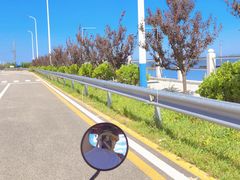 -养马岛旅游度假区