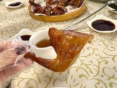 -百利鸽王(紫薇路店)