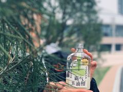 -奈雪的茶(大悦城店)