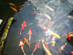 -顺德了能馆(虎门店)