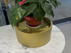 -康师傅私房牛肉面(申虹店)