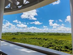 -东寨港红树林旅游区