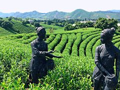 -帐篷客·溪龙茶谷度假酒店