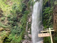 -莫里热带雨林景区