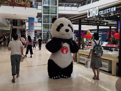 -汤姆熊欢乐世界(罗斯福店)