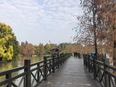 -海珠湖公园