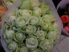 -双季花艺园艺市场(浦东店)