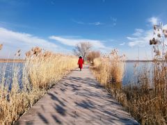 -野鸭湖国家湿地公园