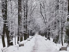 -谢列梅捷沃国际机场