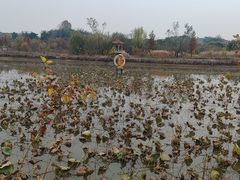 -嬉子湖生态旅游区