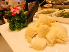 新鲜猴头菇-湯系·煲汤手艺人(东二环泰禾广场店)