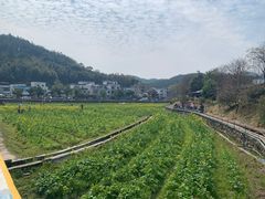 -红山村