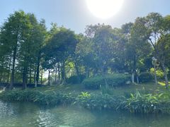 -尚贤河湿地