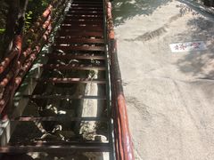 -北京凤凰岭
