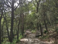 -阳台山自然风景区