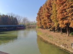 -溱湖国家湿地公园