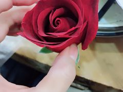 -卡漫莫尼蛋糕(徐汇店)