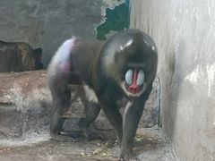 -鄂尔多斯野生动物园