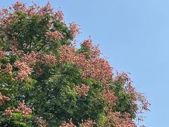 -思南公馆