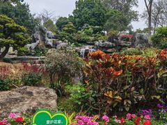-东莞植物园
