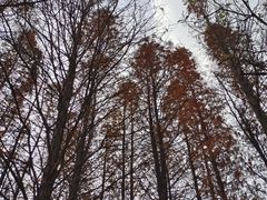 -艾溪湖湿地公园