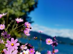 -丽江泸沽湖景区