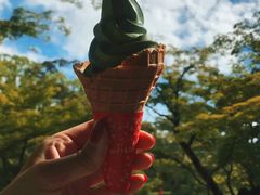 -豆政(金閣寺境内売店)