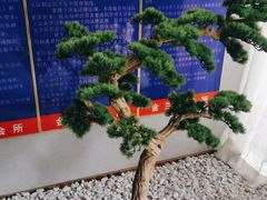 -圣和足道·瑶浴SPA·养生茶府(光华店)