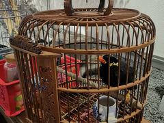 -蘭奢雅集·江浙菜(青山江滩店)