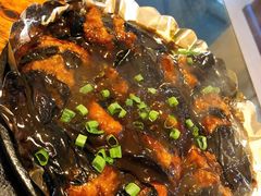 -鸭味飞飞