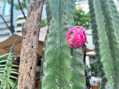 -六扇门潮汕牛肉火锅(BGC店)