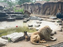 -北京野生动物园