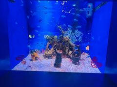 -常州海昌海洋探索馆