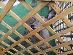 -萌宠亲子动物乐园(槐房万达店)