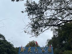 -黔灵山公园