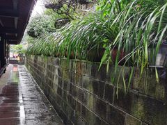 -峨眉山报国寺