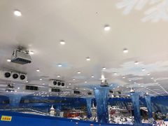 -长沙湘江冰雪世界