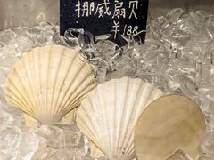-Oyster Talks 四度蚝法餐厅