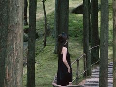 -玉苍山国家森林公园