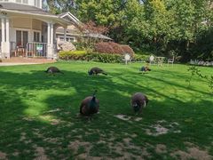 -J Create城市露营咖啡·简餐·宠物(上海动物园店)