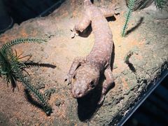 -中国湿地博物馆