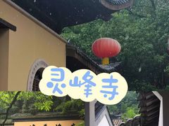 -阿露佳·舌尖上的安吉菜