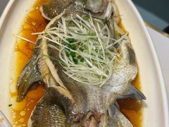 -刘胖子家常菜·蹄花焖藕(中南店)