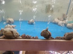 -质烤烤物·活烤海鲜(质烤总店)