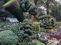 -杭州植物园