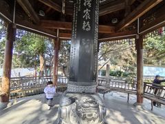 -运河游船(武林门码头)