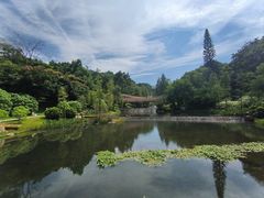 -云溪植物园