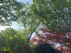 -济南植物园