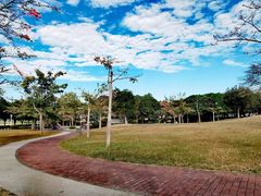 -风云岭森林公园